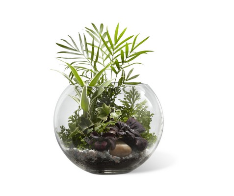 The FTD Woodland Greens(tm) Terrarium